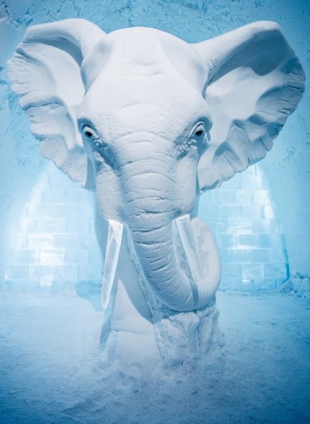 art-suite-elephant-betsy-icehotel-sweden-2016-561x768