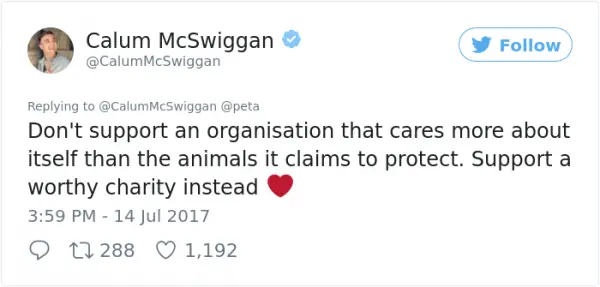 guy sums up peta twitter calum mcwiggan 14