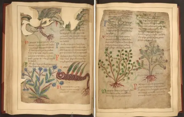 medieval herbal remedies online 4