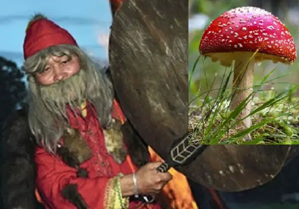 Mushroom Shaman