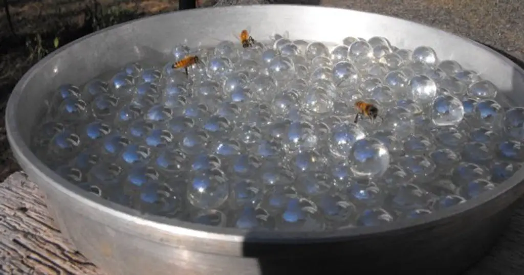 bees water pollen