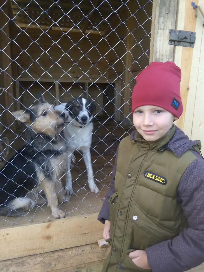 9 year old Russian boy trades his art for abandoned dog food and medicine 5da51e90973a6 700 1