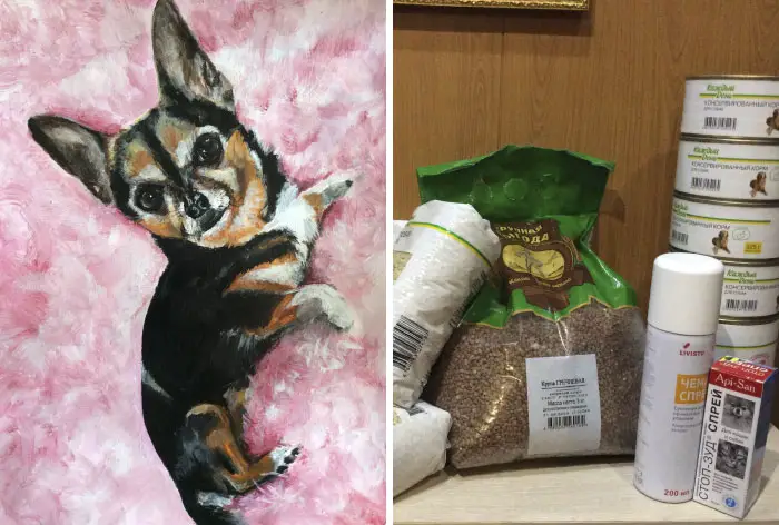 9 year old Russian boy trades his art for abandoned dog food and medicine 5da95f9f50872 700