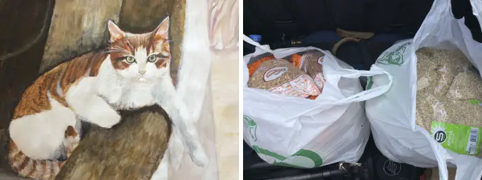 9 year old Russian boy trades his art for abandoned dog food and medicine 5da966386400a 700