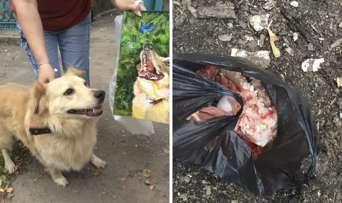 9 year old Russian boy trades his art for abandoned dog food and medicine 5da968575052a 700