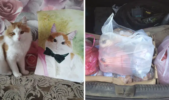 9 year old Russian boy trades his art for abandoned dog food and medicine 5da9698156860 700