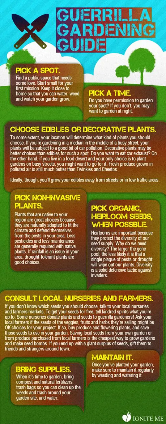 guerrilla gardening infographic