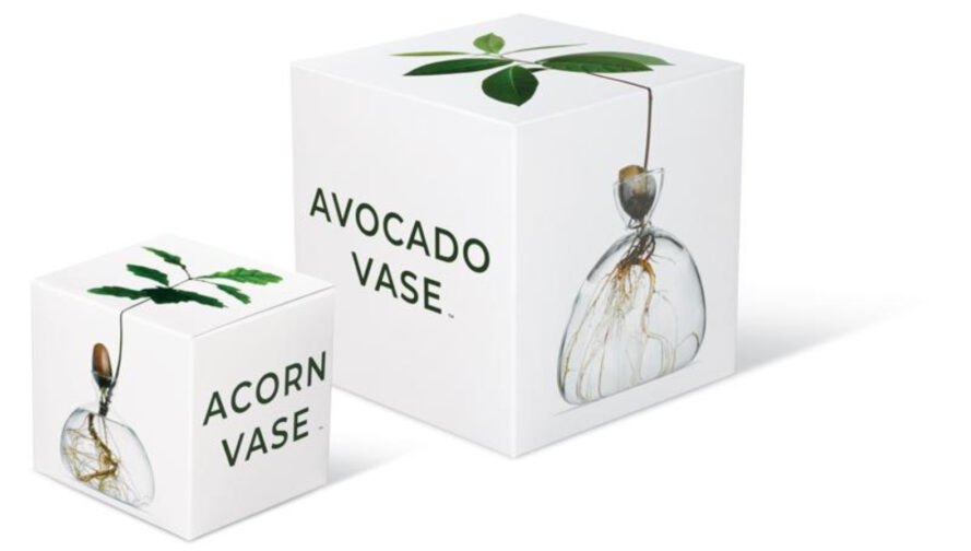 Acorn Vase Avocado Vase boxes1