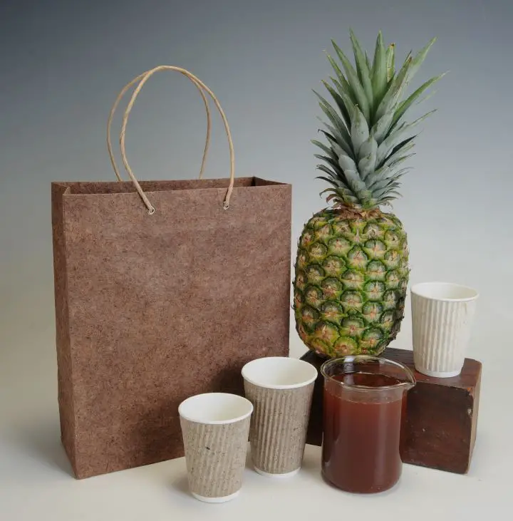 Pinyapel gift bag and cups