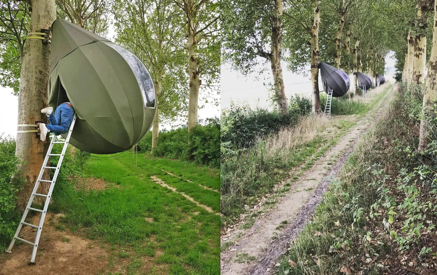 these incredible raindrop shaped tree tents let you sleep in the trees 6412
