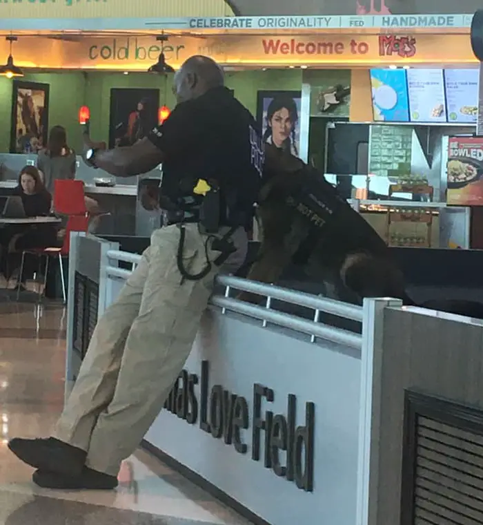 officer taking selfies with his service dog