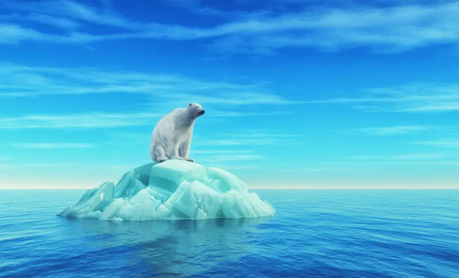 A polar bear sits on an iceberg in the middle of the ocean. This is a 3d render illustration