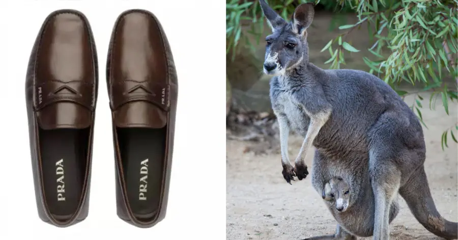 Prada Shoes Kangaroo Leather 