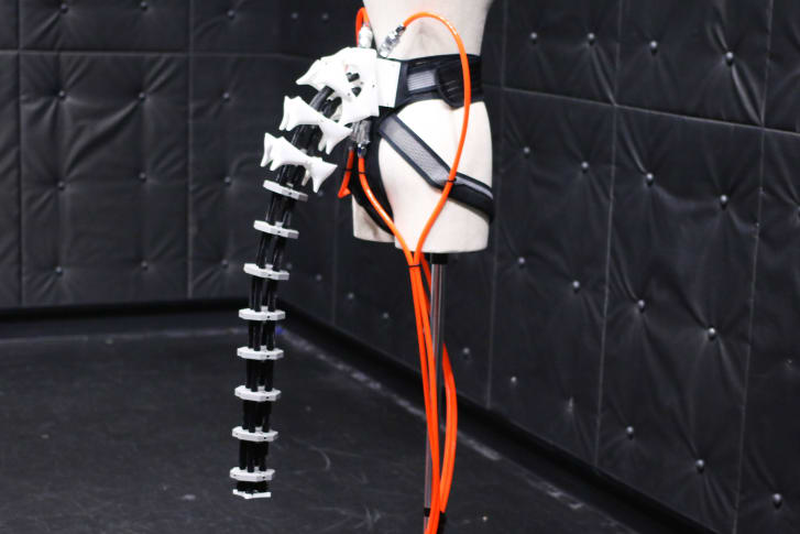 The robotic tail 1