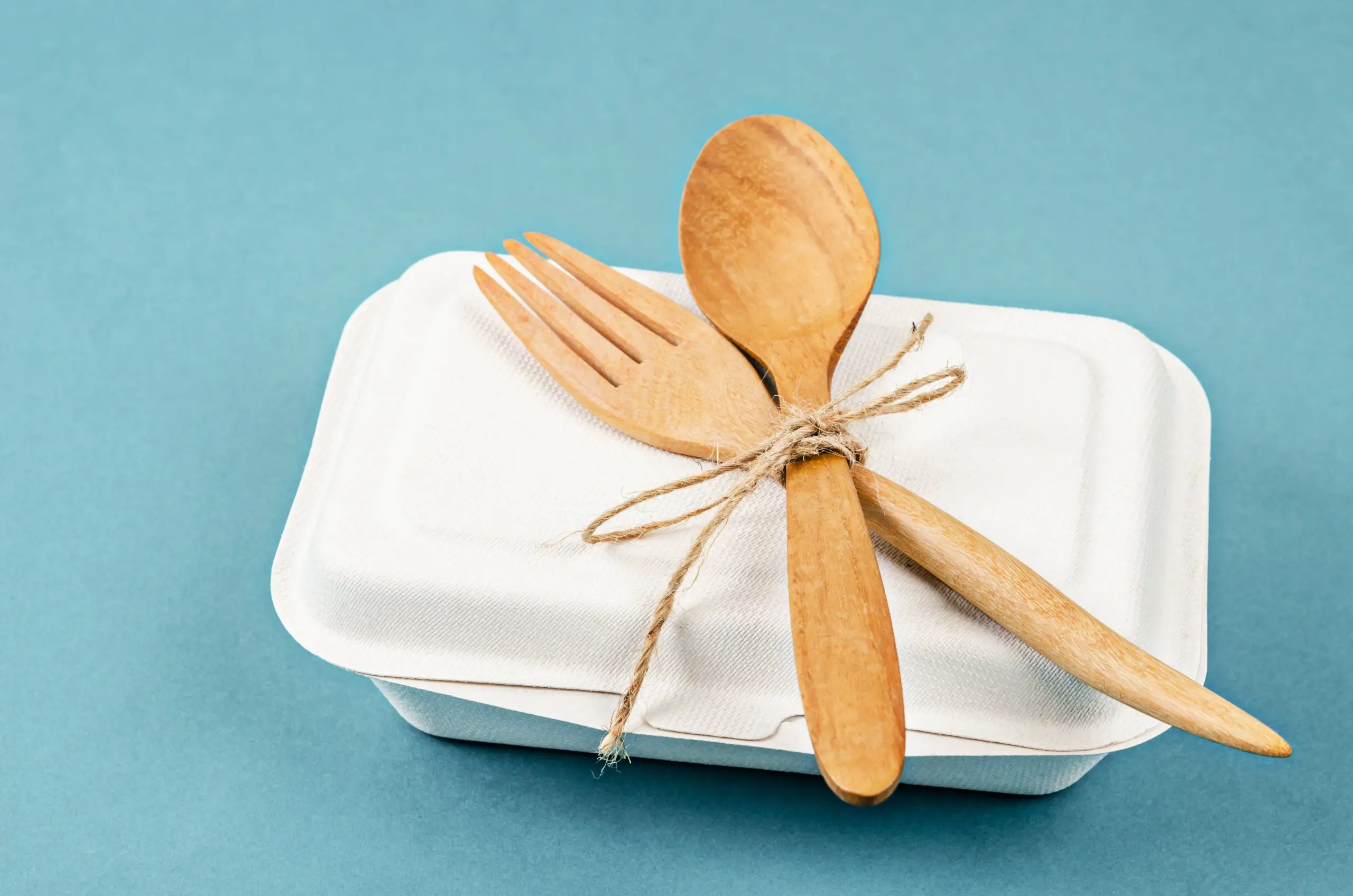 Biodegradable food box with wooden spoon