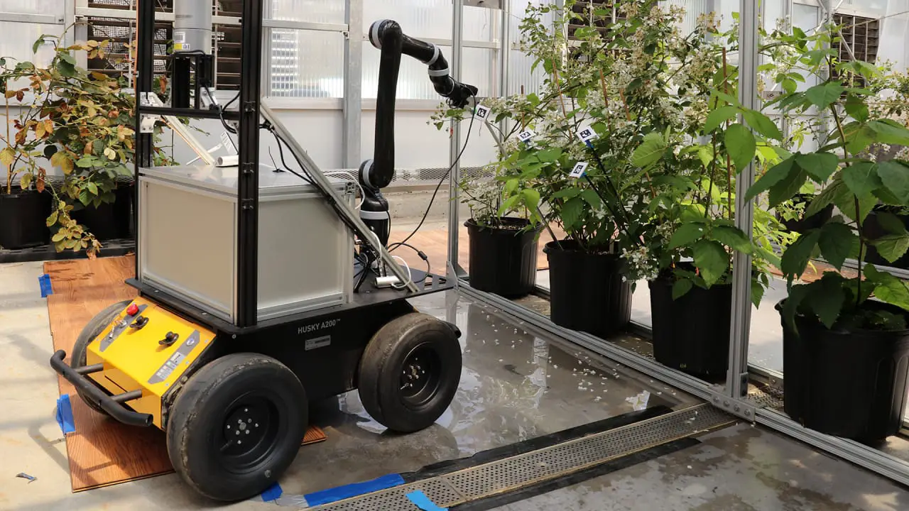 p 1 as bee populations decline this robot bee could help pollinate crops